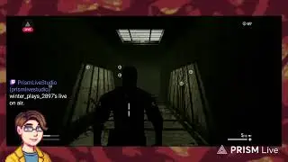 Stealth Indie Gem! - No Sun To Worship