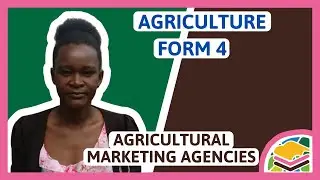 Agricultural marketing agencies | F4 Agriculture (Lesson 2)