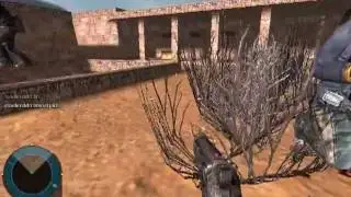 bug en operation 7 sand storm