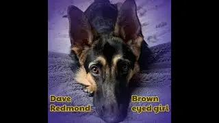 Dave Redmond - Brown Eyed Girl