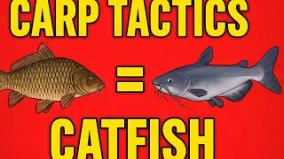 Carp Tactics, Catfish Results! 