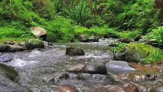 Deep Calm River &ndash; 10 Hours of ASMR for Focus, Anxiety & Stress Recovery