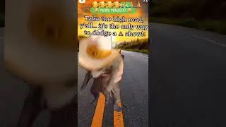 I DONT OWN NO RIGHTS TO THIS VIDEO &/OR MUSIC ONLY SHARING FOR POSITIVE & LOVE 🥰🥰🥰🥰🙏🙏🙏
