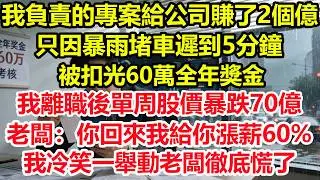 我負責的專案給公司賺了2個億，只因暴雨堵車遲到5分鐘，被扣光60萬全年獎金，我離職後單周股價暴跌70億，老闆：你回來，我給你漲薪60%！我冷笑開口1句話他徹底傻眼了！#情感 #爽文 #職場 #生活