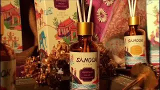 My illustrations for Thai brand , SANOOK SIAM, Reed Diffuser Spa