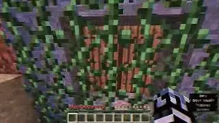 Null World