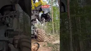 รถตัดไม้(harvester) #รถตัดไม้ #harvester #farming #tree #viral #shortvideo #youtubeshorts #shorts