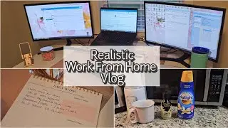 WFH Day In The Life of an Insurance Underwriter
