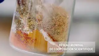 VAN HEES GmbH Imagevideo 