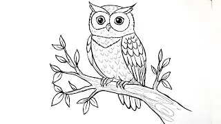 How to Draw an Owl Step by Step | Easy Owl Drawing Tutorial for Beginners