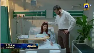 Промо-ролик 49 серии сериала &laquo;Шиканджа&raquo; | Завтра в 19:00 только на Har Pal Geo