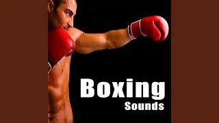 General Boxing Fight Crowd Walla