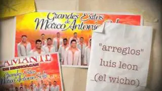 BANDA FLAMANTE TE ESPERARE