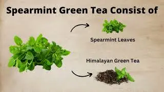 🌿 Spearmint Green Tea - Helps with Digestive Wellness, Hormone Balance, and Cognitive Support