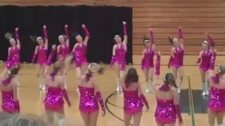 Cavalettes - AD  DT Lone Star Sr Championship February 2010