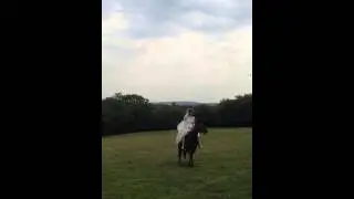 Beautiful Welsh Bride on Horseback