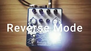 Earthquaker Devices  -  Avalanche Run V2 Delay/Reverb  -  Reverse Mode. #earthquakerdevices