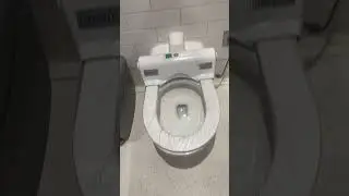 Chicago &ldquo;CLEAN&rdquo; - &lsquo;O Hare Airport   ✈️✈️✈️✈️✈️✈️✈️