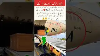Ba-Kamaal Log La-Warith Ho Gaye #song #music #love #trending #duet #cutebaby #shorts #video #yt #fly