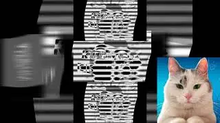 (YTPMV)Combined Effects #11 Scan
