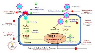 Antiviral Drugs | Classification of Antiviral Drugs | Mechanism & Site of Action of Antiviral Drugs