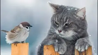 Ещё один урок по шнуровке.