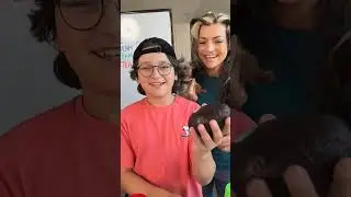 #Big Bingo prize is good and funny #bingo #bingogames #family #mysteryprize