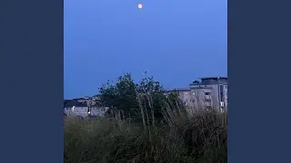The skys the limit