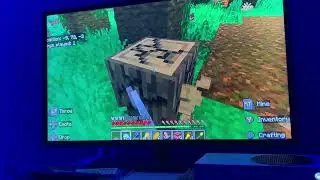 Mace single player server for now 