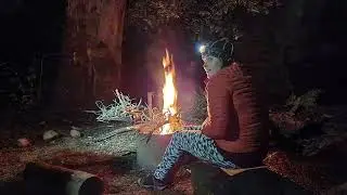 Balingup to Donnelly River Bibbulmun Track Hike with Off The Beaten Track WA | Walking Holiday