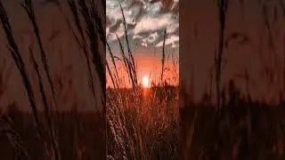 Jimpa-Music - Tucking You In (Aurora)