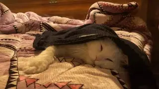 Mummy ne apna sweater kisko de diya😱