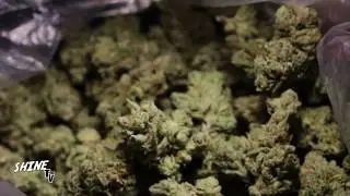 Merk The Lyrical Tantrum ft Skip of UTP - So Loud (Shine TV)