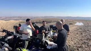אריות 🦁 שטח 