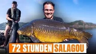 Karpfenangeln in Frankreich: Lac du Salagou! 🇫🇷