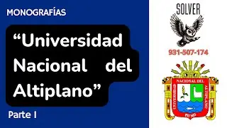 Monografía contable 20| Universidad Nacional del Altiplano