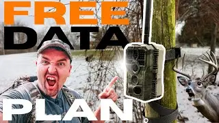 Это камера слежения БУДУЩЕГО (часть 2)!!! ***БЕСПЛАТНЫЙ ТАРИФ***