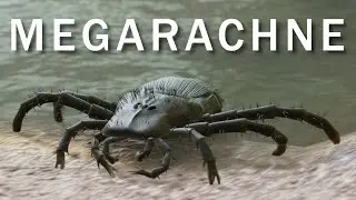 Megarachne Was Creepier Than A Spider!