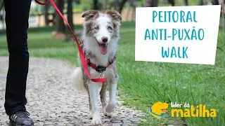 PEITORAL ANTI PUXÃO WALK PARA PASSEIO E ADESTRAMENTO DE CÃES