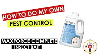How to Get Rid of Ants, Roaches & More | Maxforce Complete Granular Insect Bait Tutorial