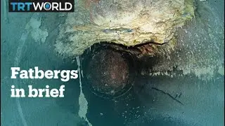 What are fatbergs?