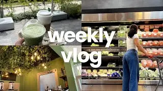 Vlog 066 |  Food Festival | Matcha Taste Like Grass | Amazon Haul || Hello Jhoni