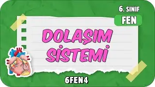 Dolaşım Sistemi 📗 6. Sınıf Fen #2024