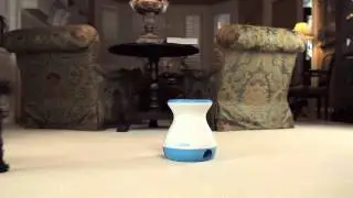 iFetch Frenzy