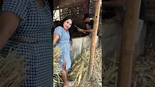 Keluarga sentolop mbak novi