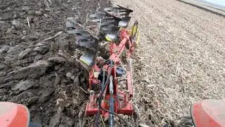 Steyr 4115 Profi Classic | Pottinger Servo 25 | Ploughing 2020