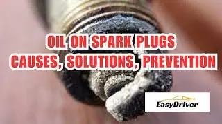 Spark Plug SOS: Oil Causes, Solutions, and Prevention