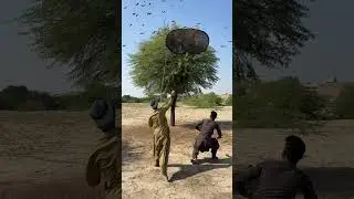 Egg eagle hunting #farming #hunting # #huntingbirds #harehunting #birdhunting #birds #goosehunting