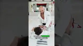 BJJ Basic Choke  #bjj #jiujitsu #bjjitalia