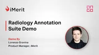Radiology Annotation Suite Demo